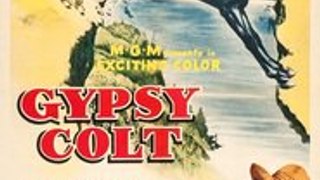 Gypsy Colt full movie