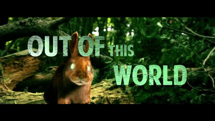 Cute Little Buggers Movie