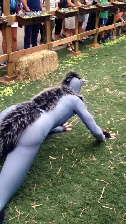 Un élevage d'humains déguisés en moutons (WTF)