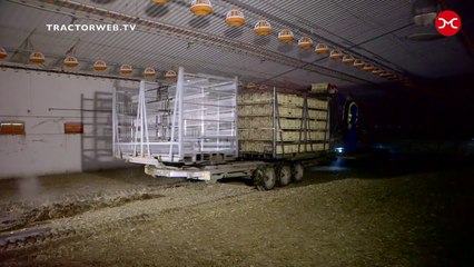 Tavuk toplama makinesi