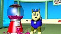 PAW PATROL colors for Kids to Learn with gumball machine and Chase | Children Learning Video