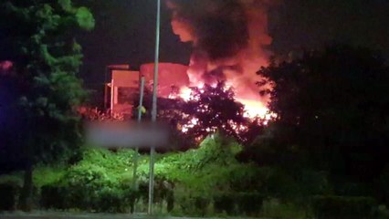 서울 방화동 화훼단지 화재...다친 사람은 없어 / YTN