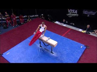 Steven Legendre - Pommel Horse - 2010 Visa Championships - Men - Day 2
