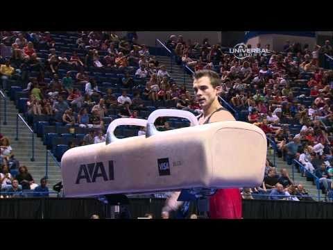 Wes Haagensen - Pommel Horse - 2010 Visa Championships - Men - Day 2