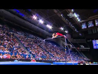 Chris Brooks - High Bar - 2010 Visa Championships - Men - Day 2