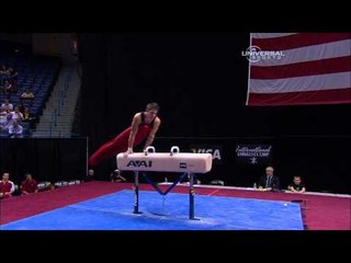 Chris Brooks - Pommel Horse - 2010 Visa Championships - Men - Day 2