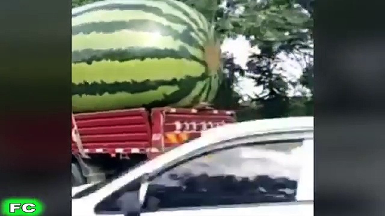 Ultimate FUNNY Videos & Crazy Clips ★ pt.2 ★ Best of the Year 2016 Compilation ★ FailCity