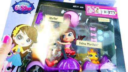New My LIttle Pony Equestria Girls Rainbow Dash Doll Custom with LPS Blythe