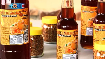 +QN 25 Setiembre 2017