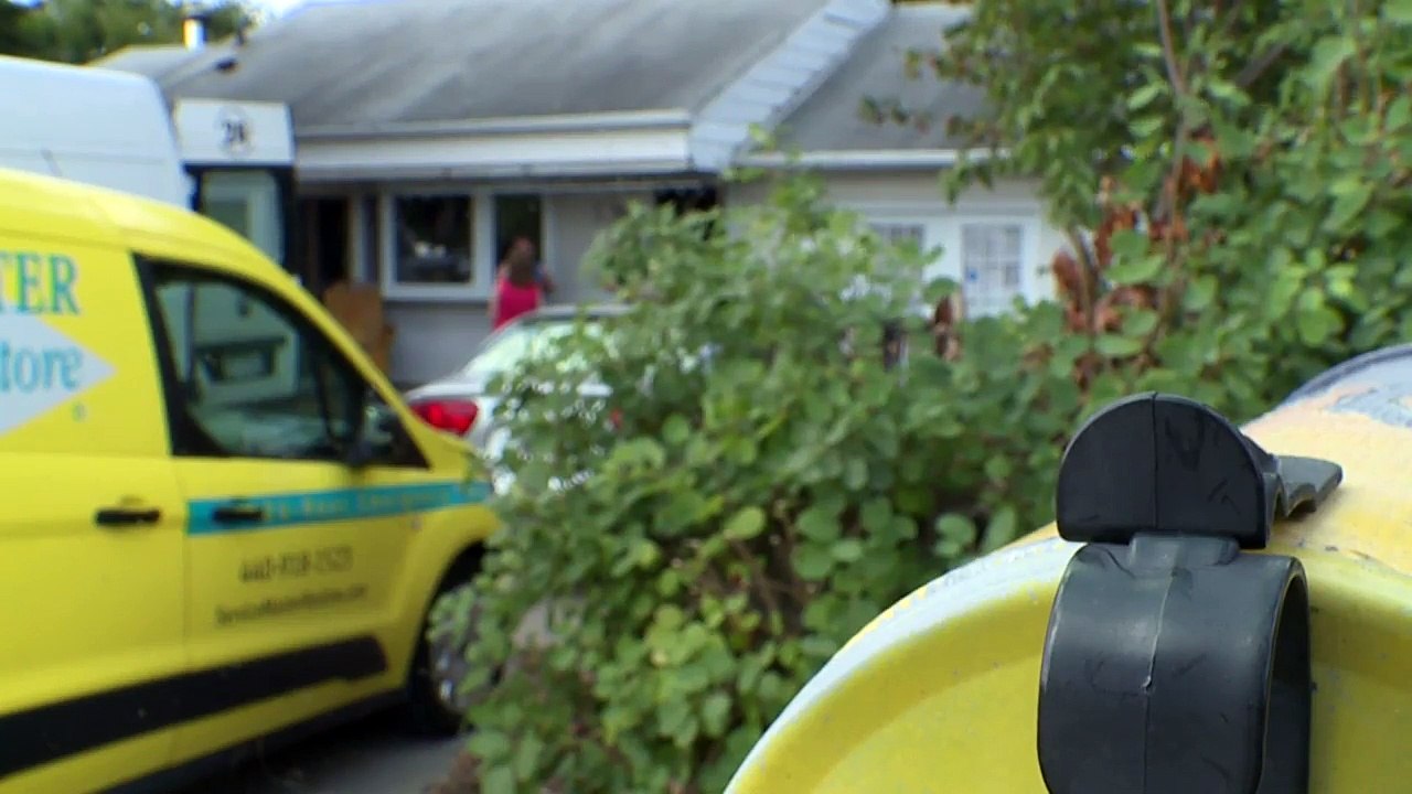 Service Dog Hailed as Hero After Saving Owner From House Fire
