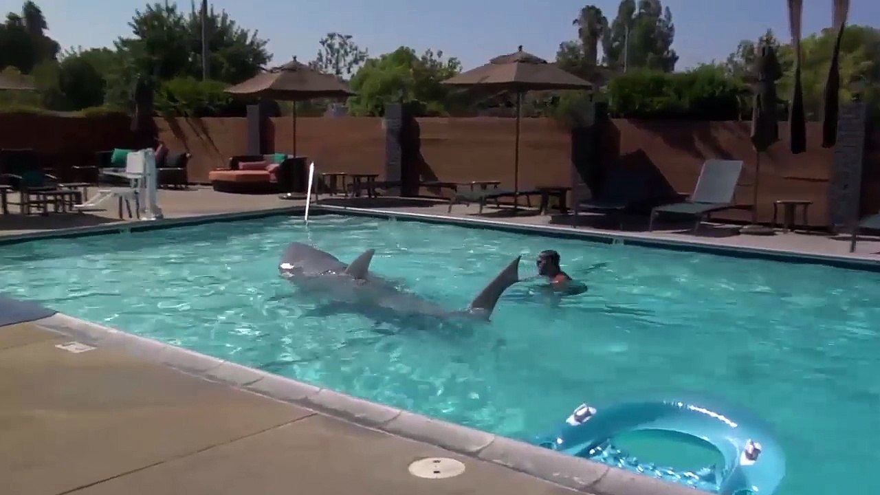 Animatronic swimming Shark Test 8-5-16