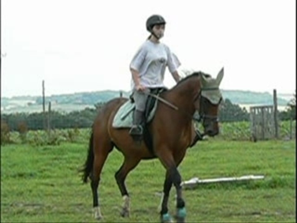 Licaraa_0002