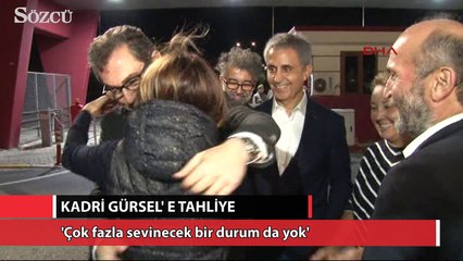 Kadri Gürsel tahliye edildi