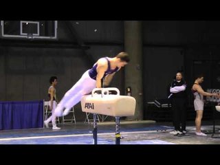 Paul Ruggeri - Pommel Horse - 2011 Winter Cup Challenge Day 1