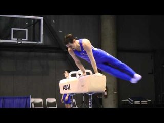 Joey Hagerty - Pommel Horse - 2011 Winter Cup Challenge Day 1