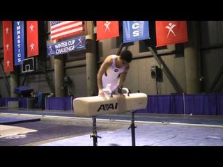 Donothan Bailey - Pommel Horse - 2011 Winter Cup Challenge Day 1