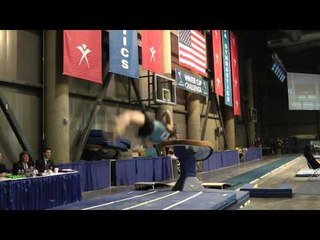 Danny Berardini - Vault - 2011 Winter Cup Challenge Day 1