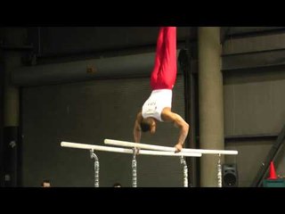 Seung Tai Lee - Parallel Bars - 2011 Winter Cup Challenge Day 1