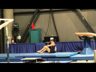 Paul Ruggeri - Vault - 2011 Winter Cup Challenge Day 1