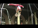 Ted Kamimura - Still Rings - 2011 Winter Cup Challenge Day 1