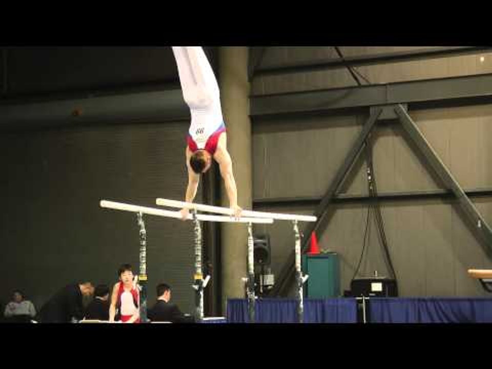 Ronnie Ferris - Parallel Bars - 2011 Winter Cup Challenge Day 1