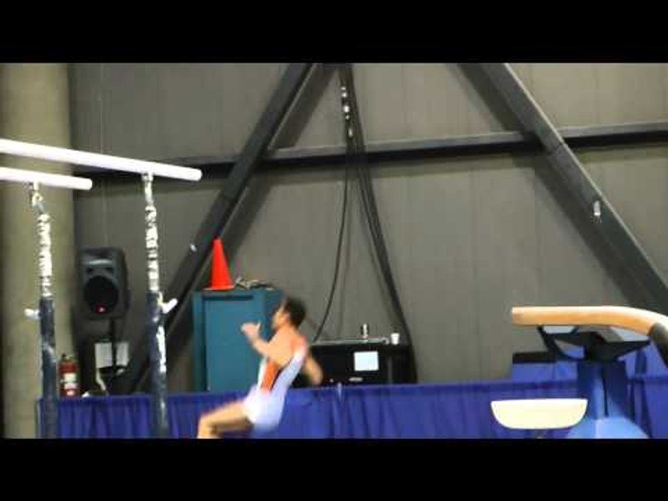 Daniel Ribeiro - Vault - 2011 Winter Cup Challenge Finals