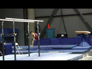 Tim Gentry - Vault - 2011 Winter Cup Challenge Finals