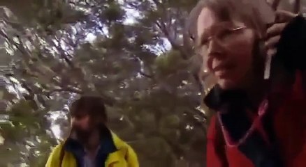 Platypus: The Worlds Strangest Animal [Nature Documentary]