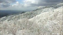 鄭慧林　日本の雪景色