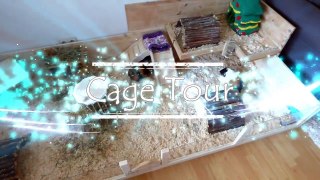 New DIY Guinea Pig Cage Tour