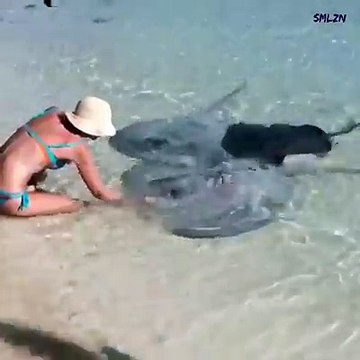 Onlarda hayvan sevgisi bizde hayvan sevgisi