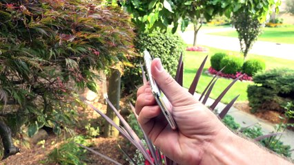 Apple iPhone 8 & iPhone X- First Look & Unboxing Full HD!