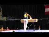 Stacey Ervin - Pommel Horse - 2013 P&G Championships - Sr. Men - Day 1