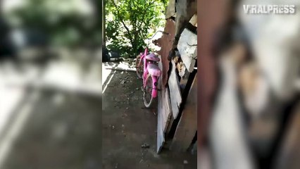 Disabled Teenager Locked Inside Chicken Shed