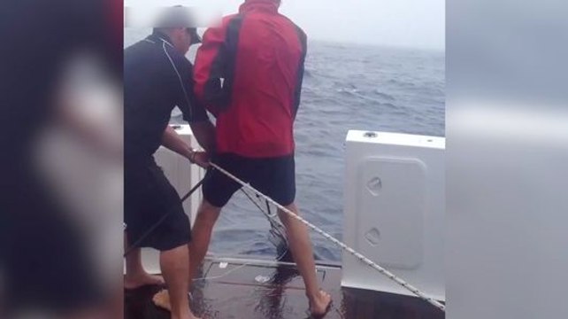 Ces hommes ne s'attendaient pas à pêcher un thon aussi gros !