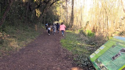 Conseil Municipal des Enfants 2016 / 2017