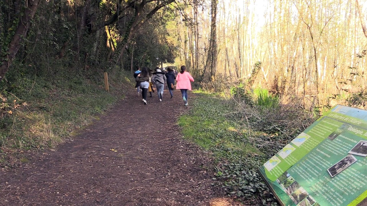 Conseil Municipal des Enfants 2016 / 2017