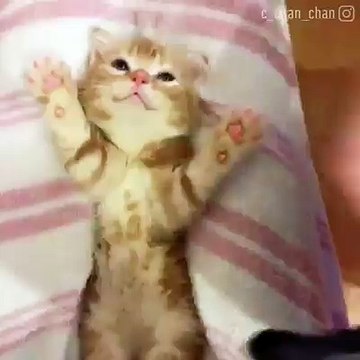 İyi geceler herkese