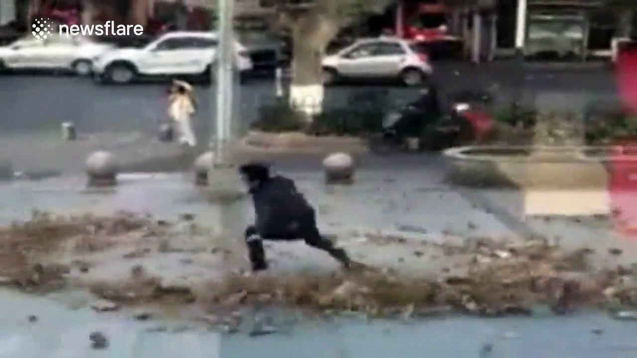 San Goku dans une tornade de feuilles... Fan de Dragon Ball Z ?