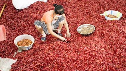 In China's Most Laid-back City, Food Is the Main Attraction