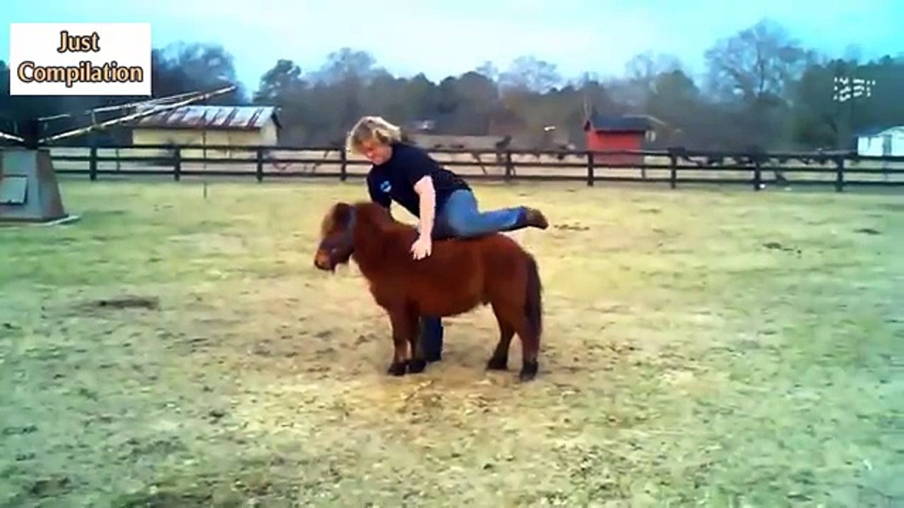 Best Funny/Fail Horse Videos Compilation of 2017 HD / Funniest Horse Videos
