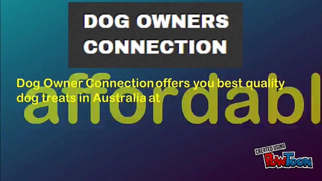 Get Best Trainer for Improving Your Dog Behavior
