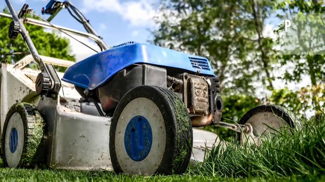 Spraying Utah Grass for Weeds - Lawn Care Services in North Salt Lake & Bountiful