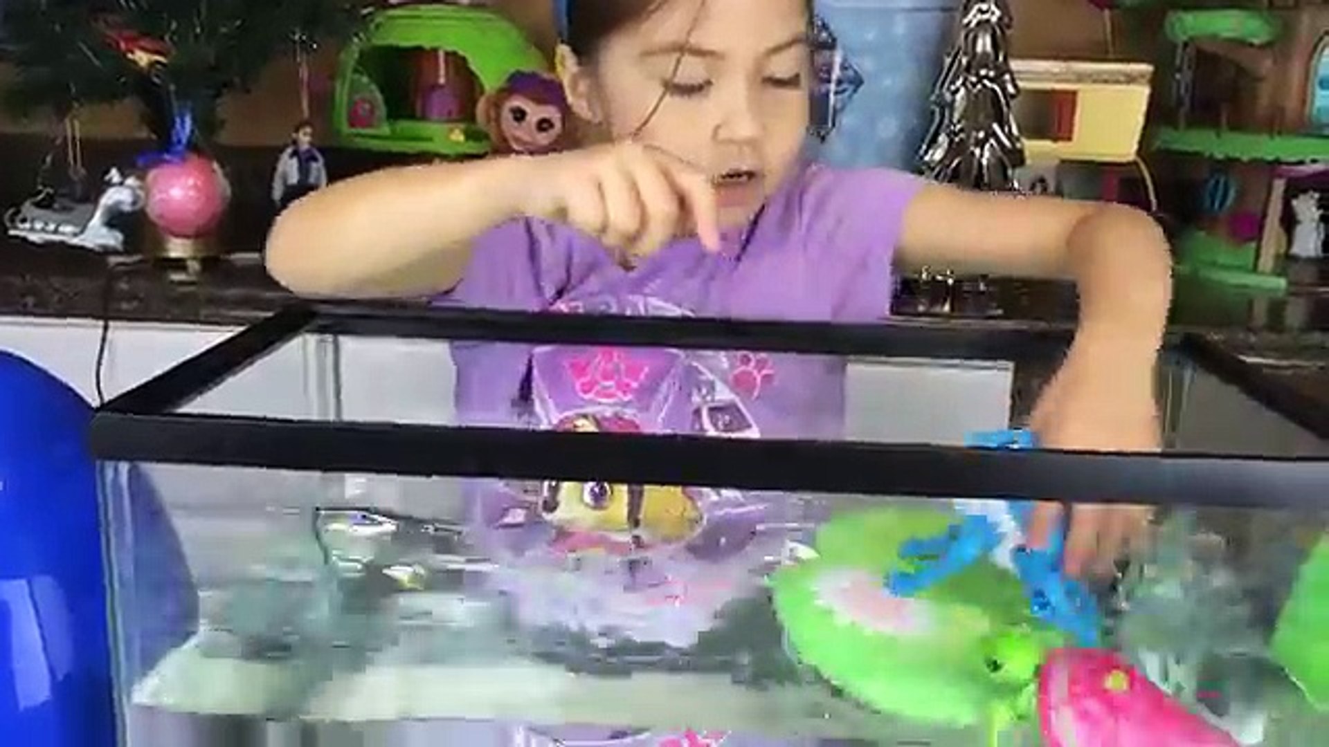 ⁣Little Live Pets Water Surprise Toys Giant Eggs Toy Surprises Lil Turtle & Lil Frog Really Swim