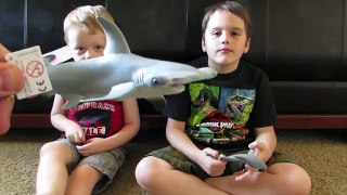 We got a package of Sharks! Cool new shark toys