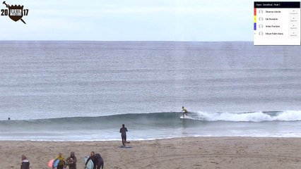 Encerclé par deux orques, un surfeur échappe au pire en Norvège