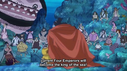 JINBE LEAVES SUN PIRATES one piece episdoe 790