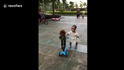 Plucky poodle steals scooter from toddler - and rides away