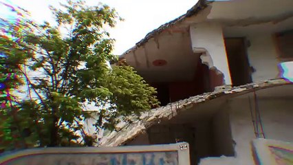 Rare Baby Dragons exist in Slovenia !