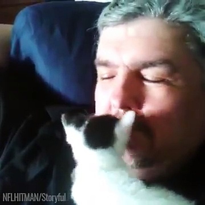 Ce chaton est trop craquant